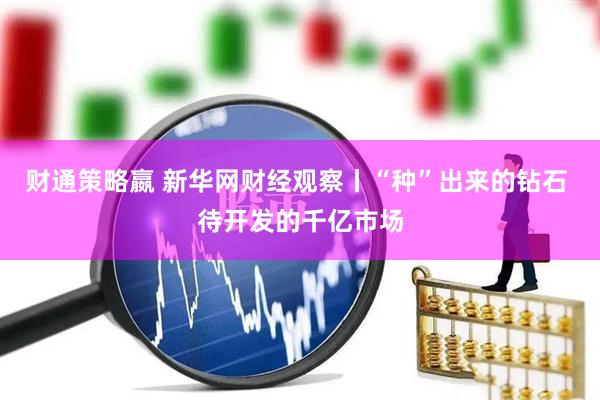 财通策略嬴 新华网财经观察丨“种”出来的钻石 待开发的千亿市场