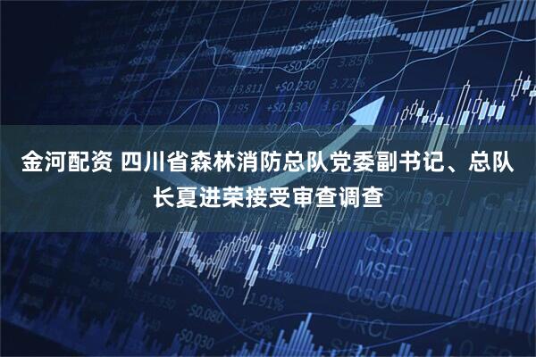 金河配资 四川省森林消防总队党委副书记、总队长夏进荣接受审查调查