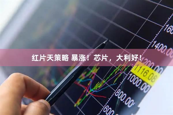 红片天策略 暴涨！芯片，大利好！
